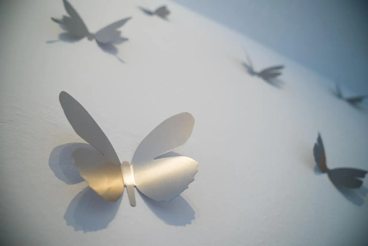 Appartamento Mariposa San Miguel de Abona Spagna