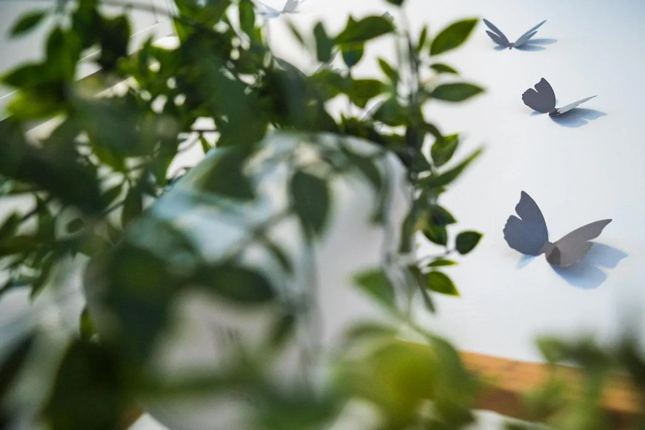 公寓 圣米格尔德阿沃纳Mariposa公寓
