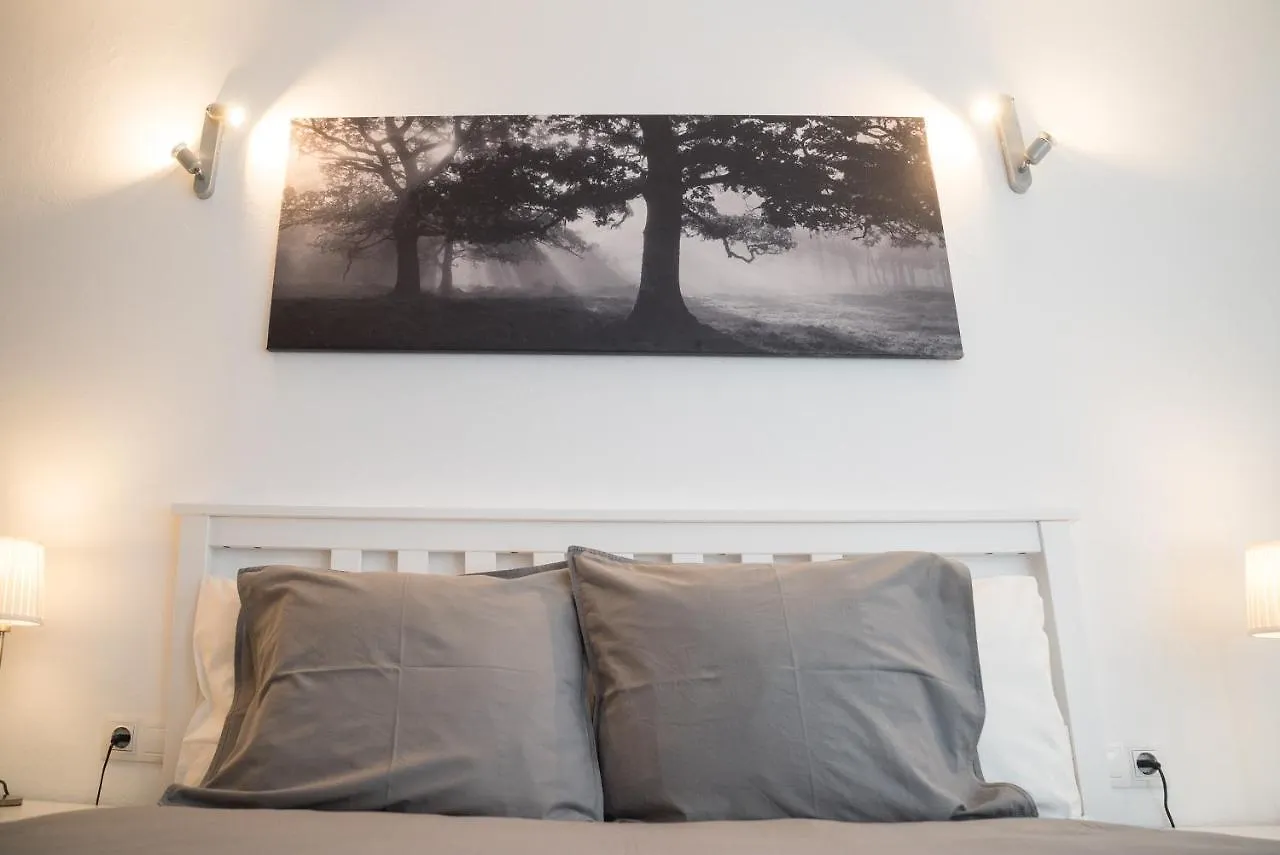 Mariposa Apartment San Miguel de Abona