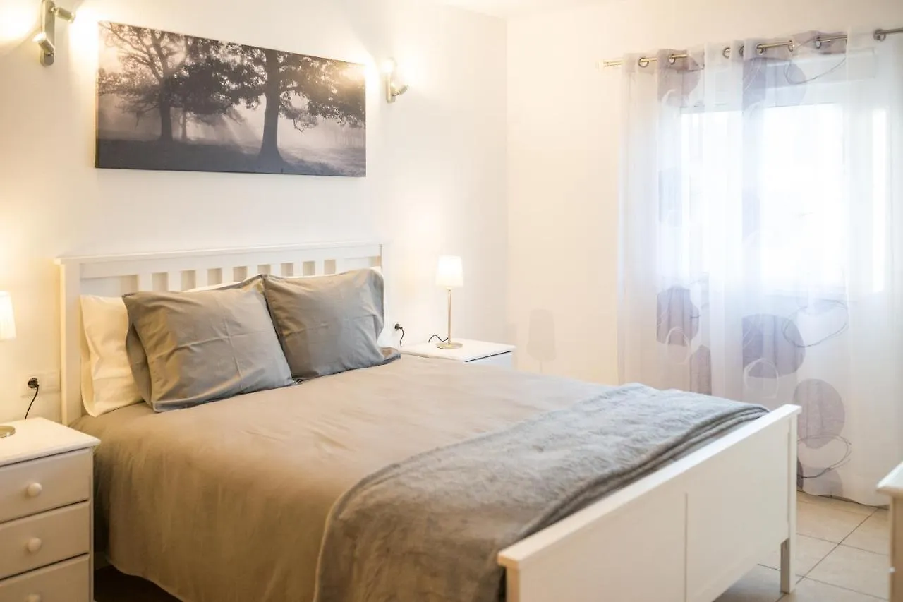 Mariposa Apartment San Miguel de Abona 0*,